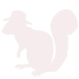 Eichhörnchen Icon